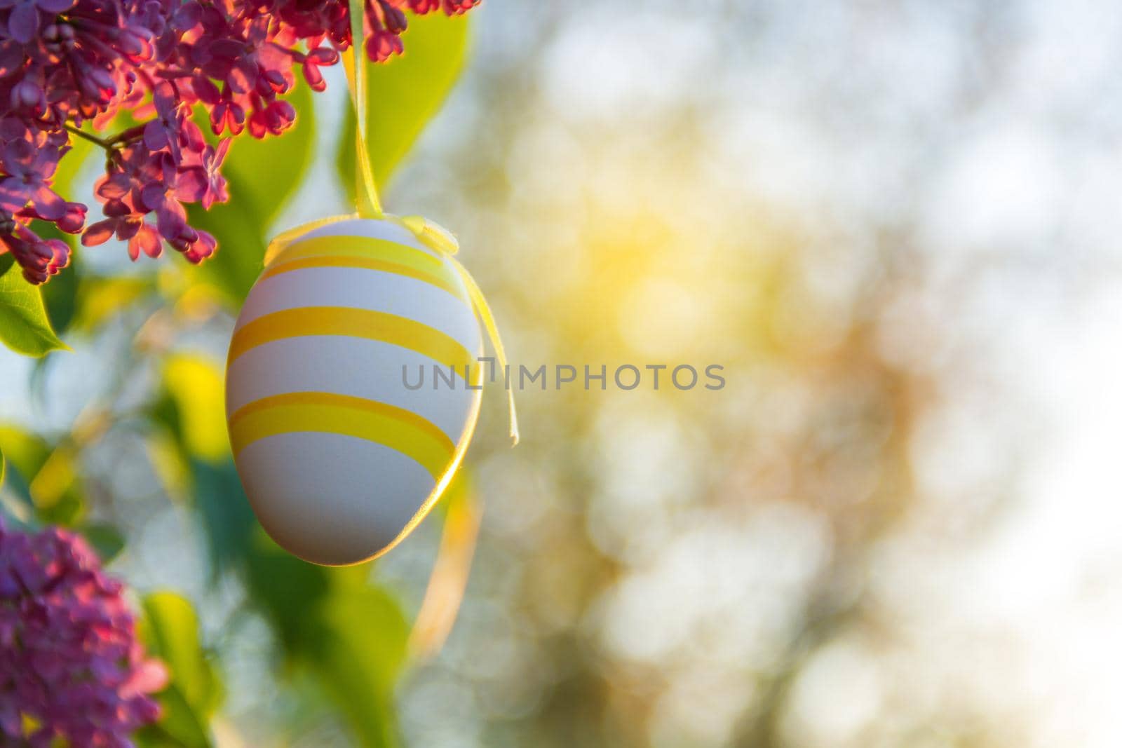 egg hanging on a tree in Easter