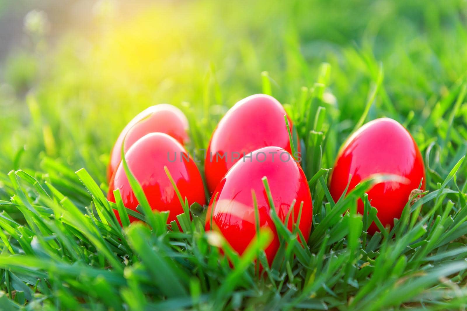 Easter eggs in grass at sunset