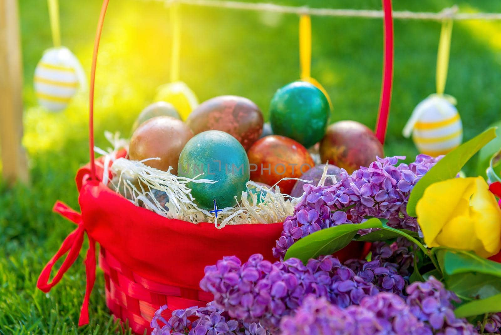 Basket with easter eggs and tulips in april