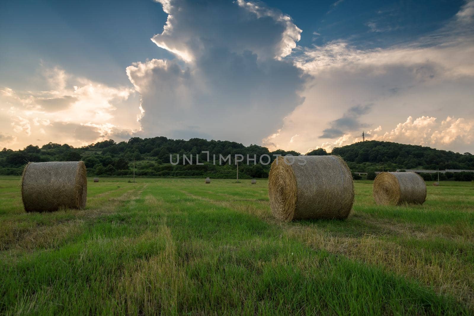 Field of freshly bales of hay with beautiful sunset