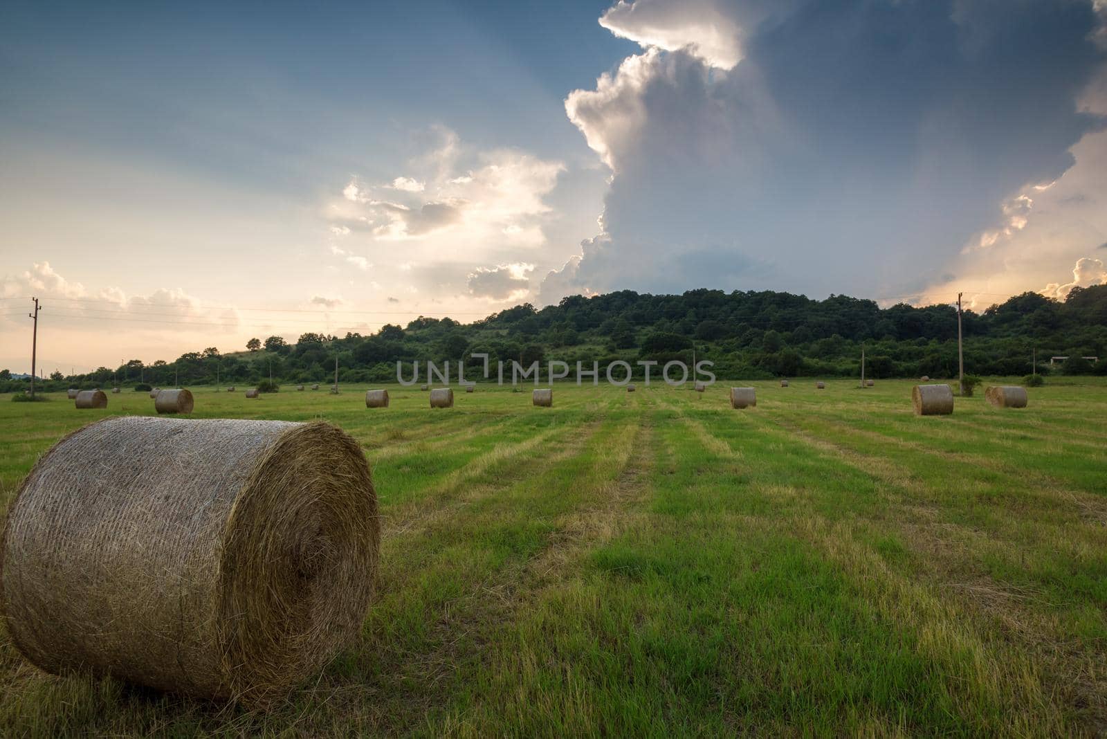 Field of freshly bales of hay with beautiful sunset