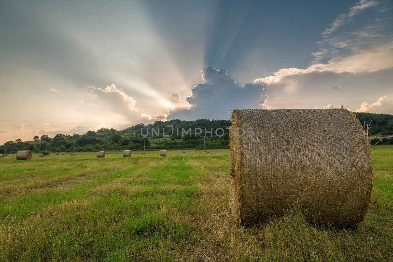 Field of freshly bales of hay with beautiful sunset