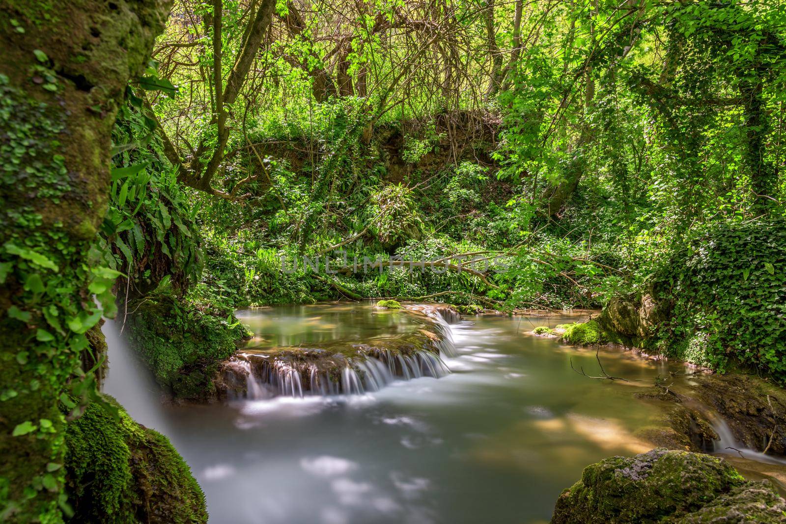 Krushuna waterfalls in bulgaria at spring 