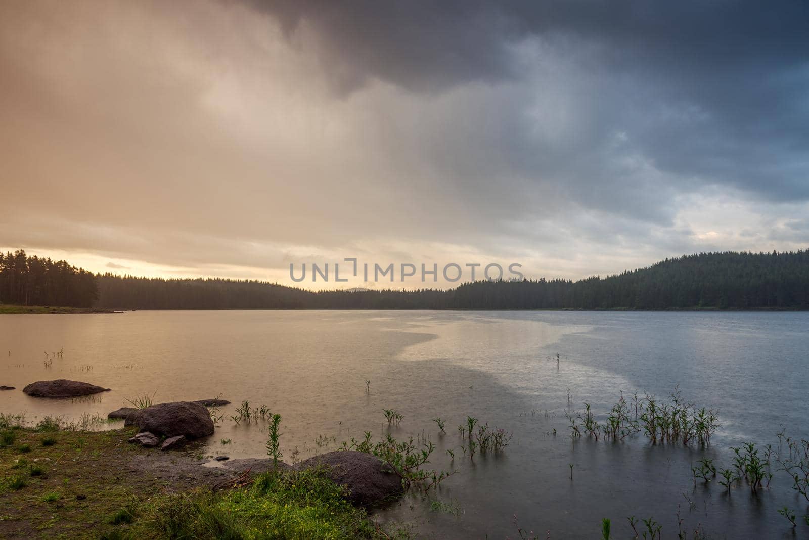 Rain over the lake at sunset in summer 