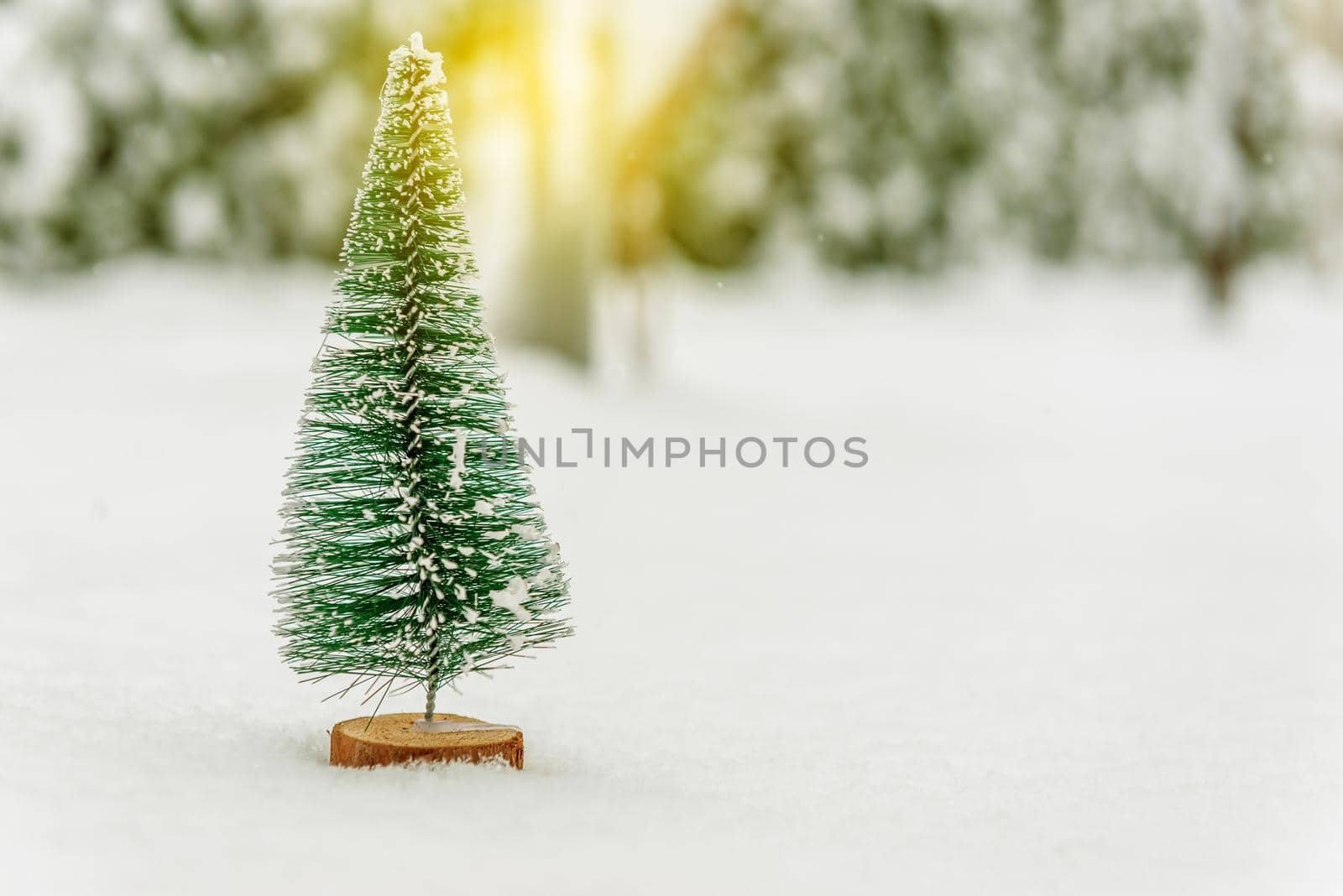 miniature Christmas tree in the snow 