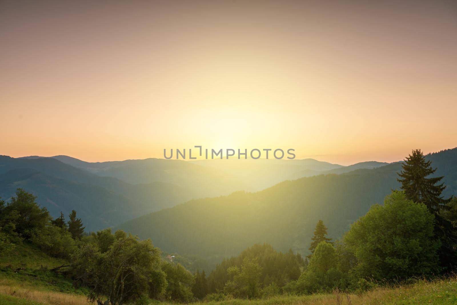Panoramic view of colorful sunrise in mountains in summer 