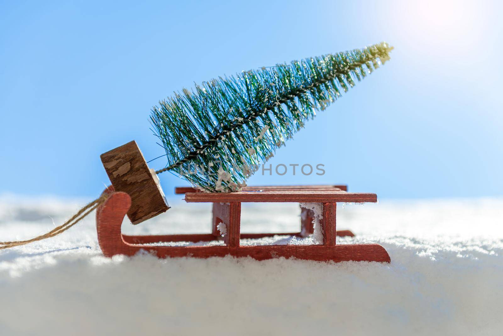 Red sleigh carrying a small Christmas tree in winter