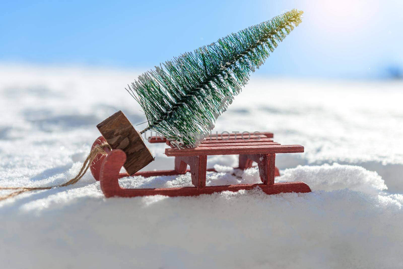 Red sleigh carrying a small Christmas tree in winter