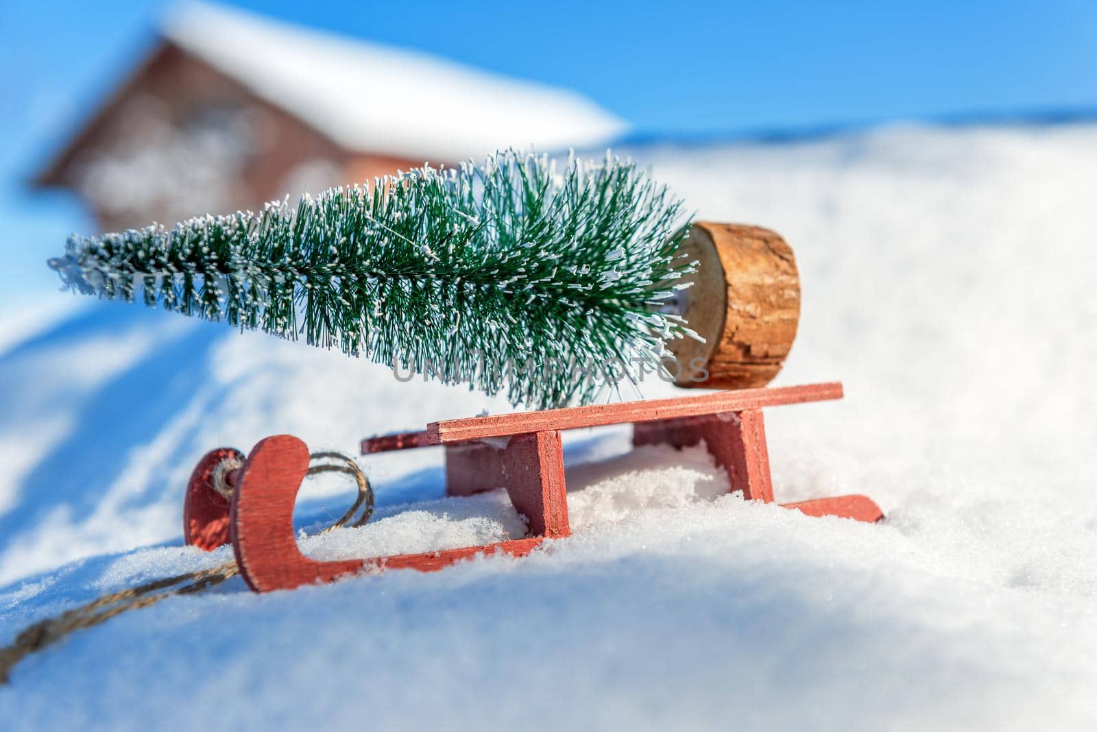 Red sleigh carrying a small Christmas tree in winter