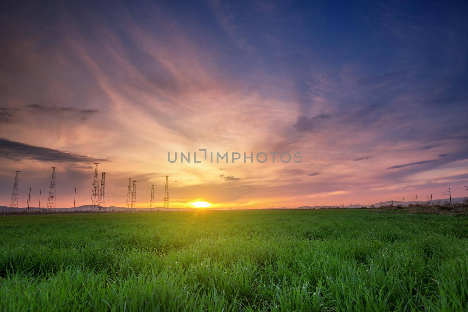 Rural landscape with wheat field on sunset in spring