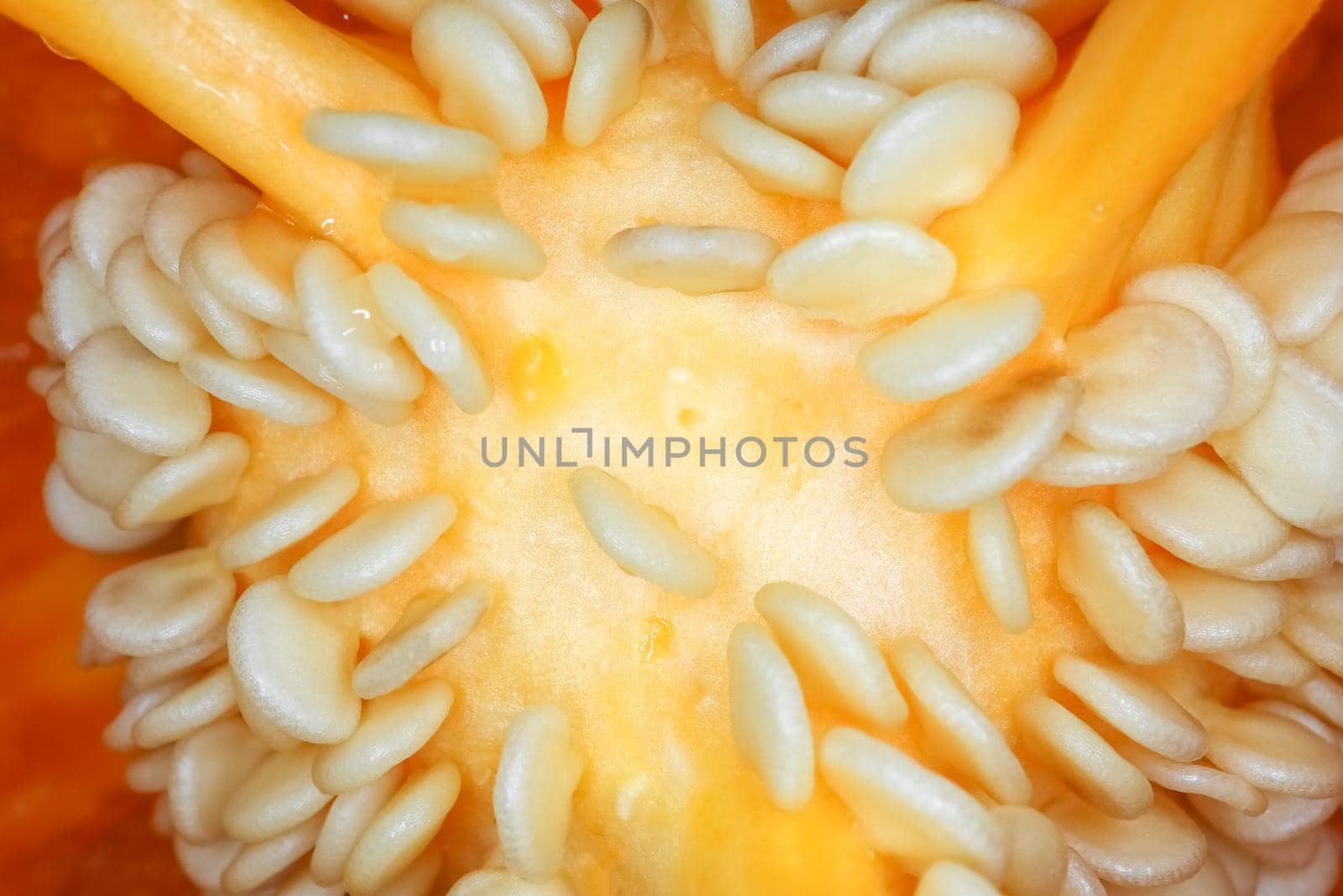 orange bell pepper in the macro section . High quality photo