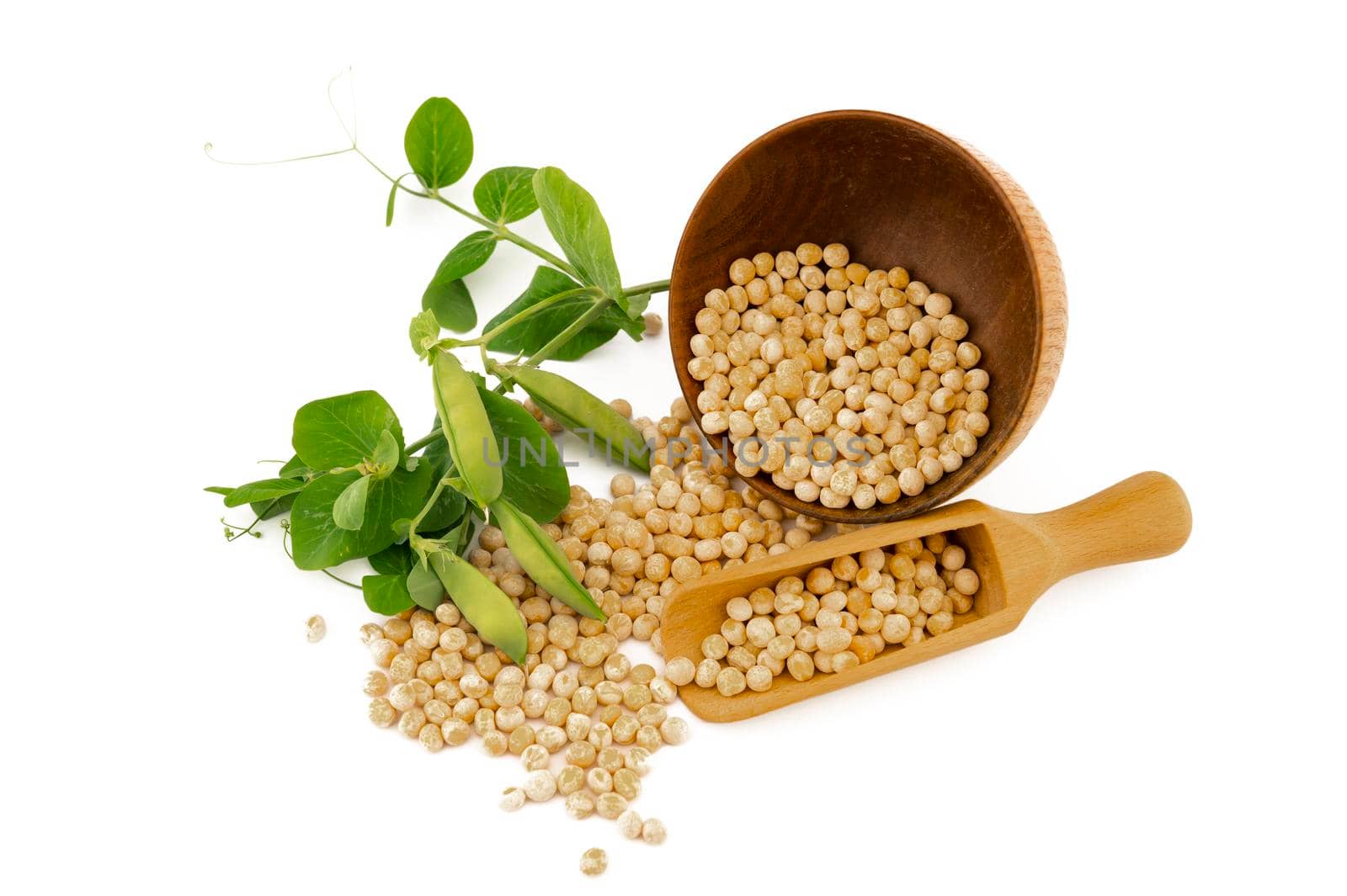 Dried peas spilling from a rustic bowl and wooden scoop fresh plant with pods isolated on a white background