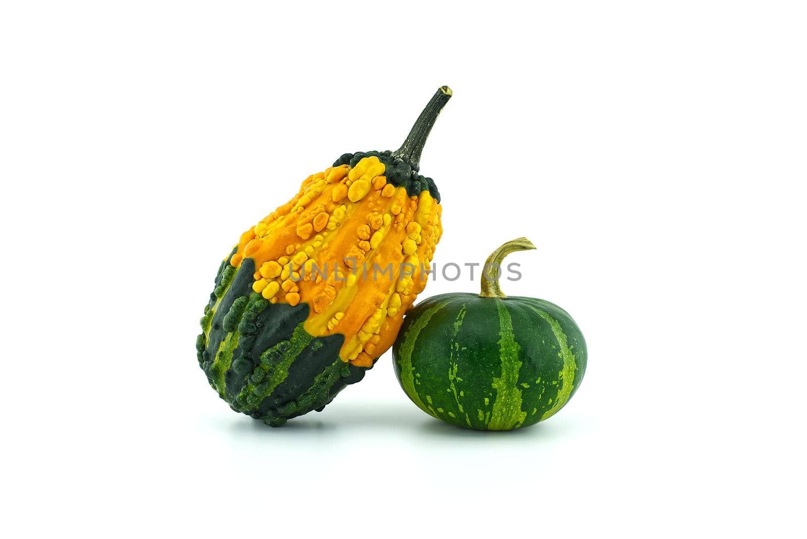 Colorful pumpkins and squashes isolated on white background