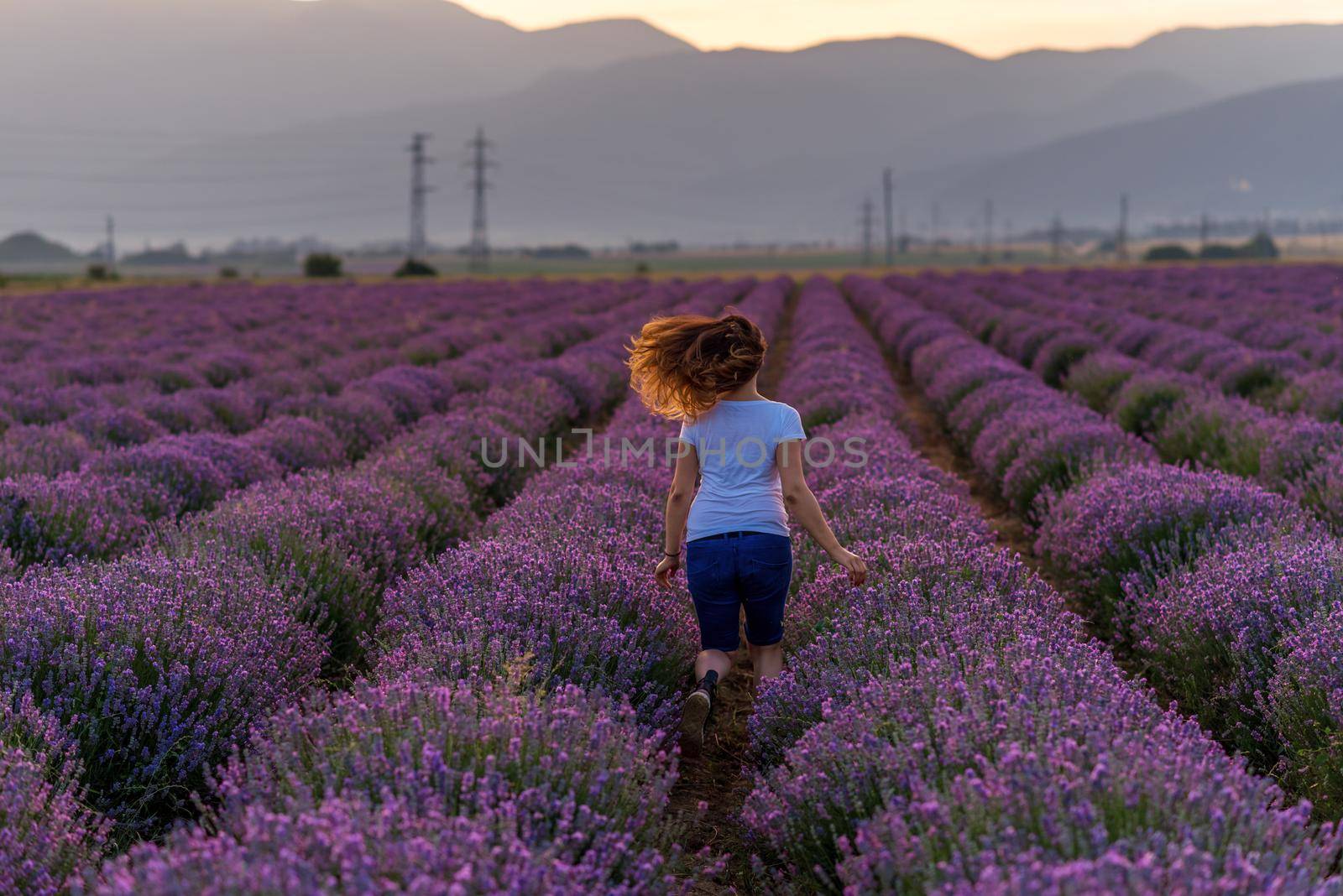 Happy Young Woman Enjoying Life in Lavender Field at Sunset. 