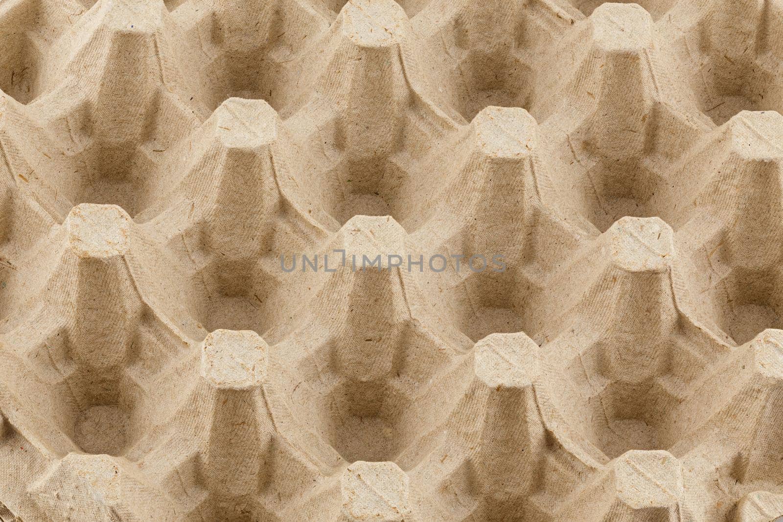 empty formed cardboard egg tray - closeup with edge-to-edge sharpness.