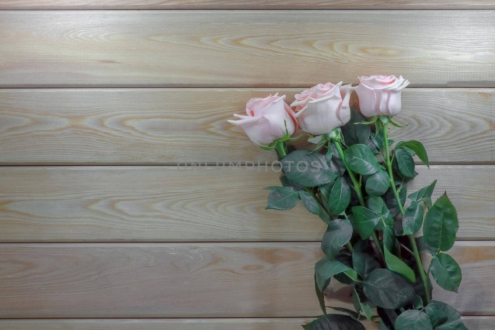 pink roses on a wooden background isolate . High quality photo