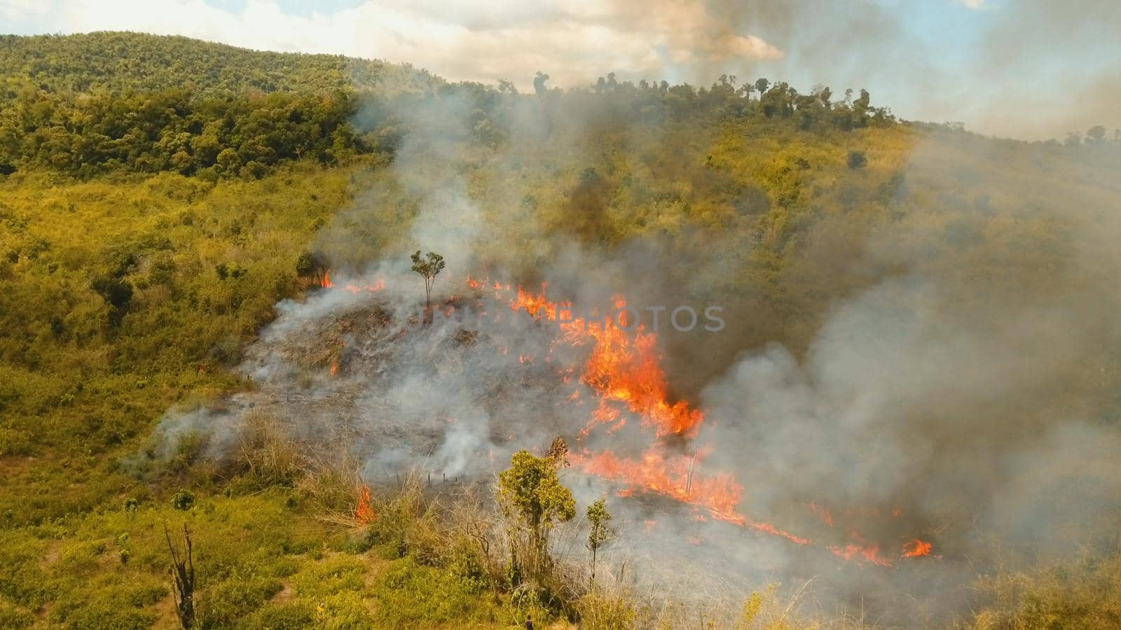 Aerial view forest fire on the slopes of hills and mountains. Forest and tropical jungle deforestation for human food farming and export. large flames from forest fire. Using fire to destroy natural habitat and causing large scale environmental damage in Asia. Coron, Philippines,Palawan, Busuanga.