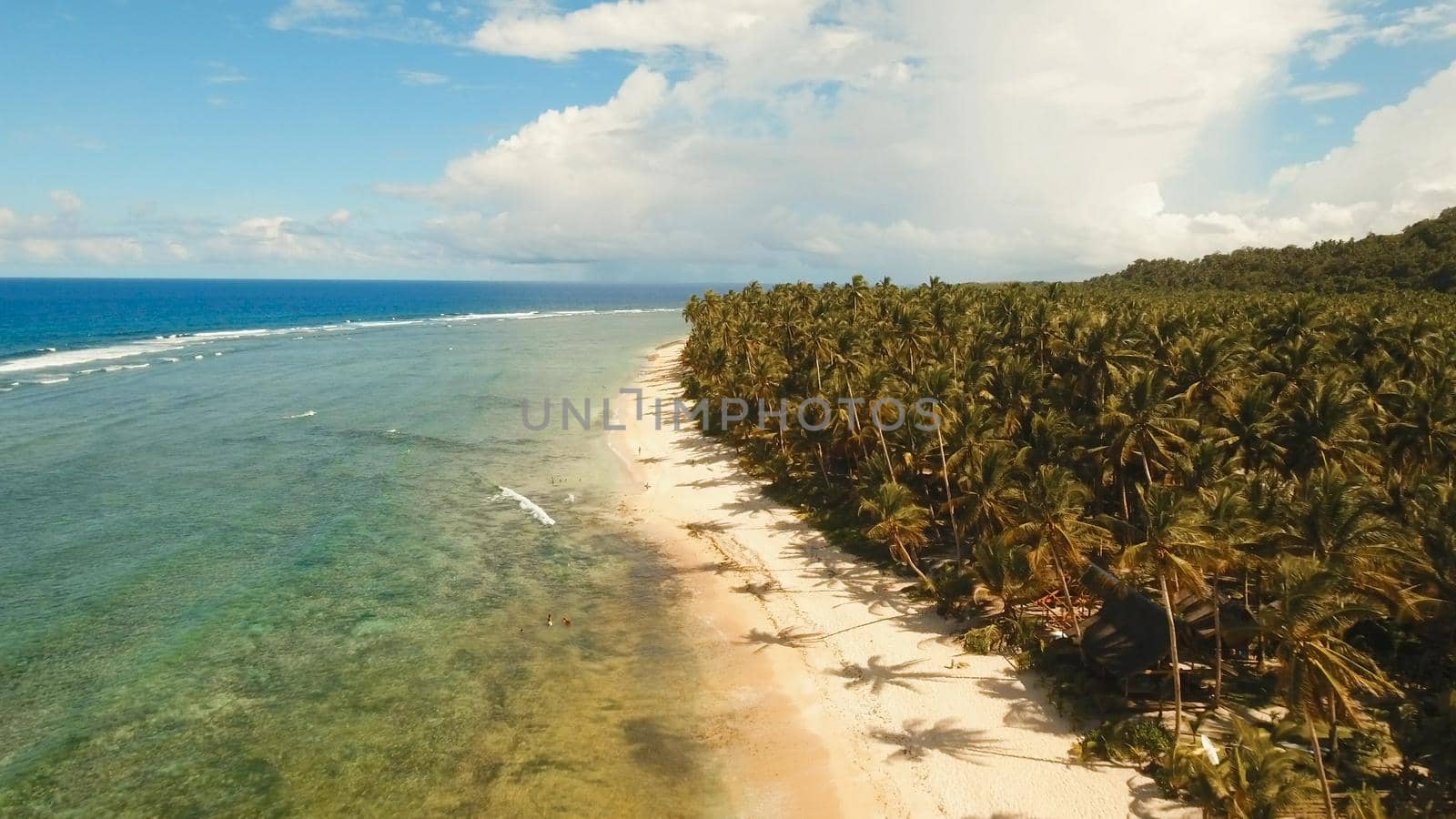 Beautiful tropical sand beach, palm trees. Aerial view of tropical beach on the island Siargao, Philippines. Tropical landscape: beach with palm trees. Seascape: Ocean, sky, sea . Philippines. Travel concept.