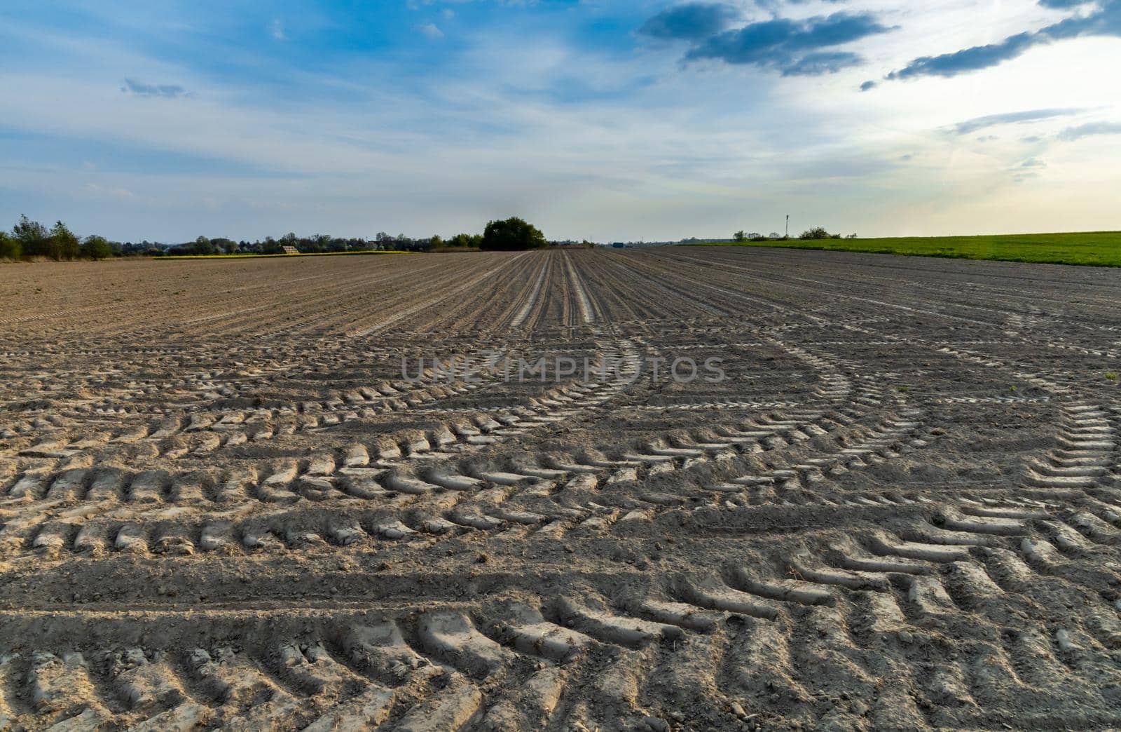 Tractor tracks on the harvested field