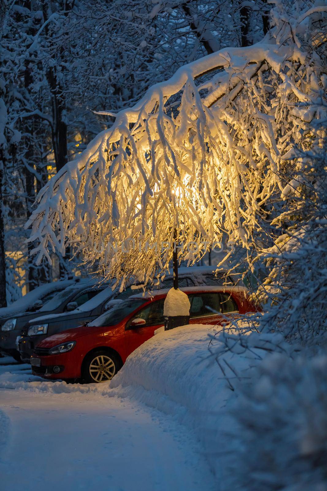 In the evening, a large branch of a snow-covered tree covers the car. A yellow lantern shines under the branch.