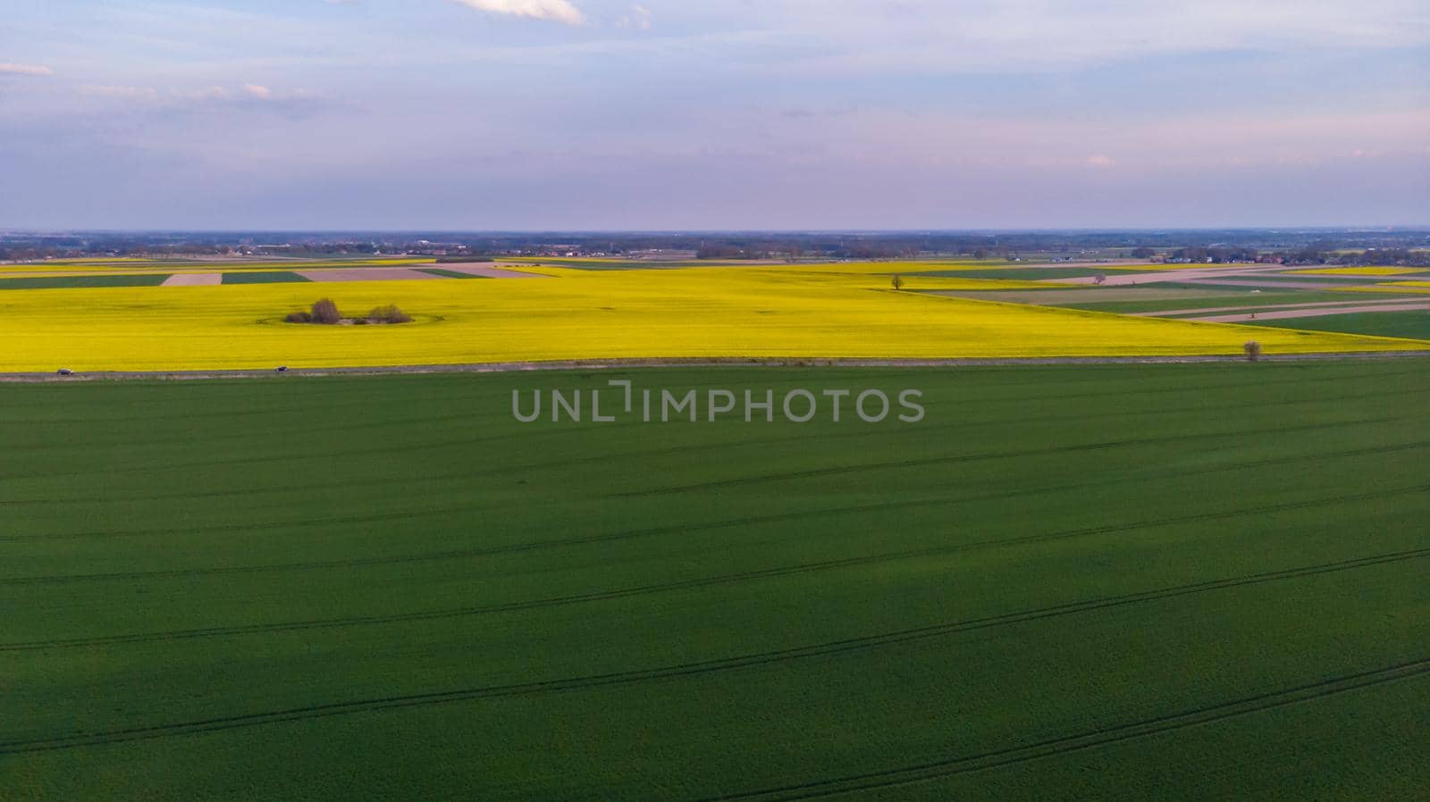 Aerial drone look to green and yellow fields at sunset