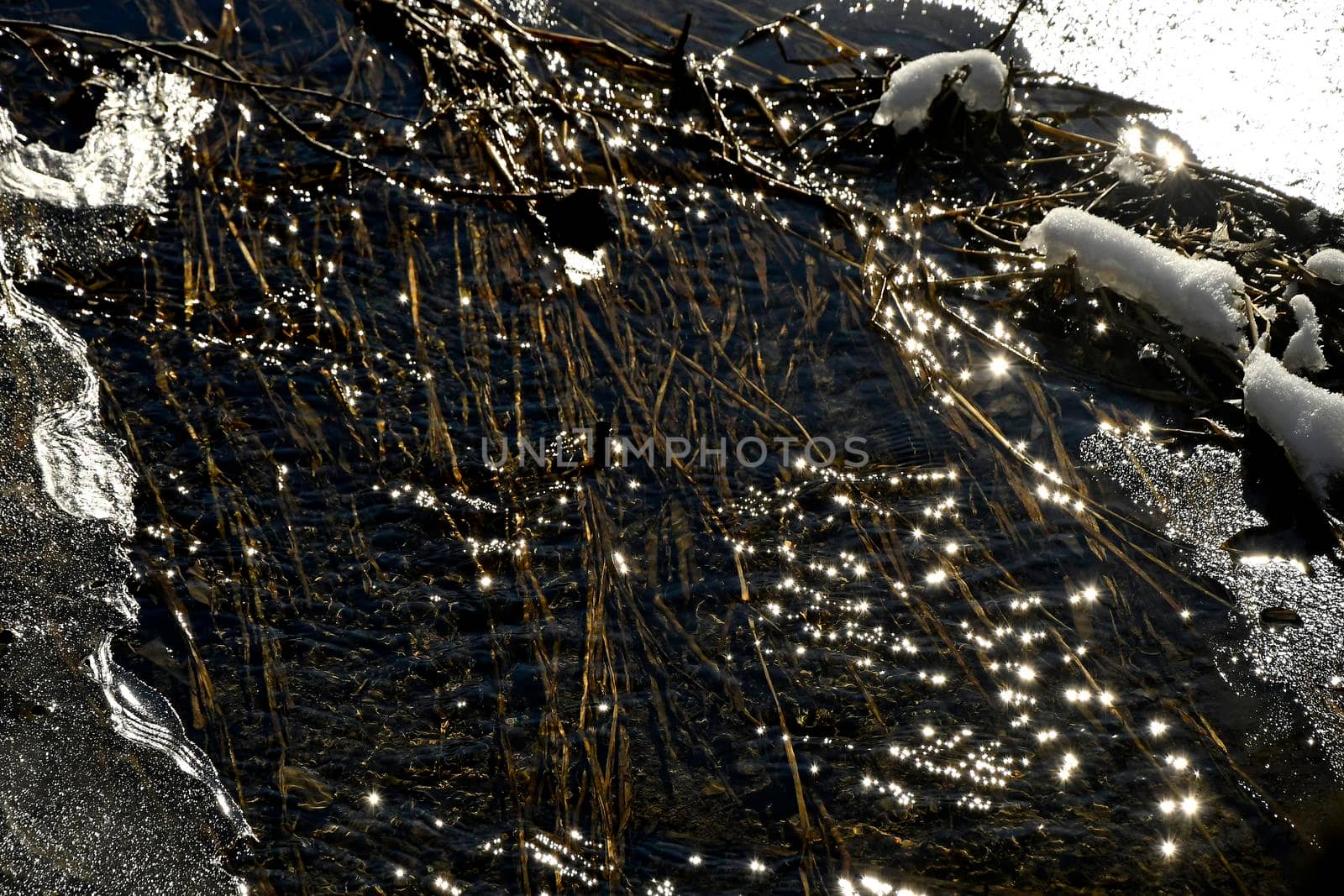 little creek in winter with ice in backlit by Jochen