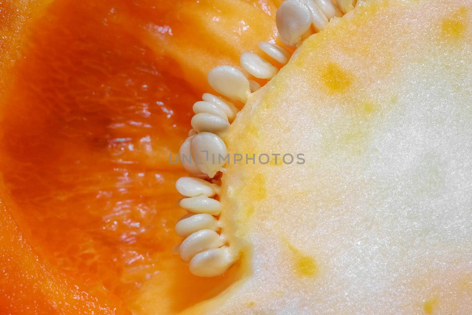 orange bell pepper in the macro section . High quality photo