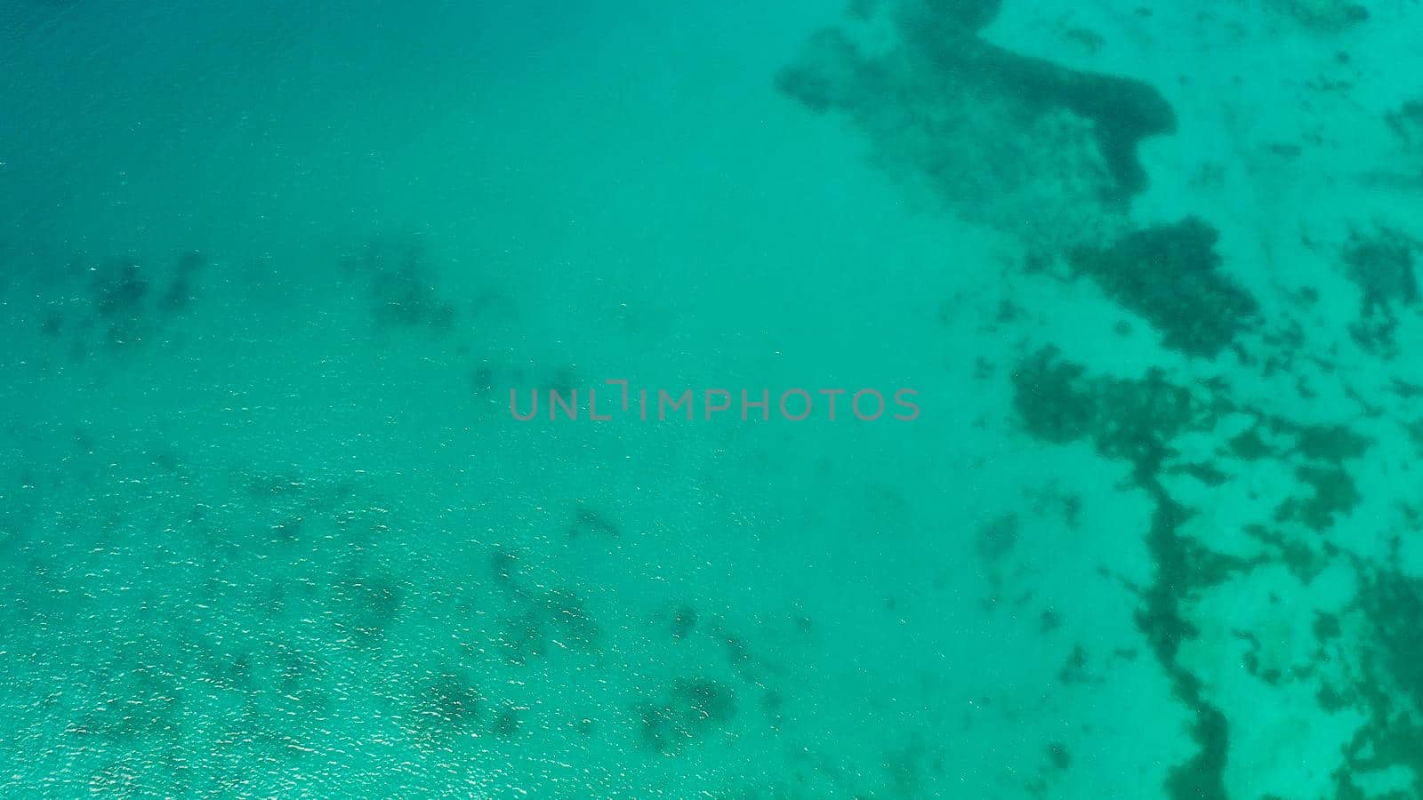 Sea water surface in lagoon, copy space for text, aerial view. Top view transparent turquoise ocean water surface. background texture