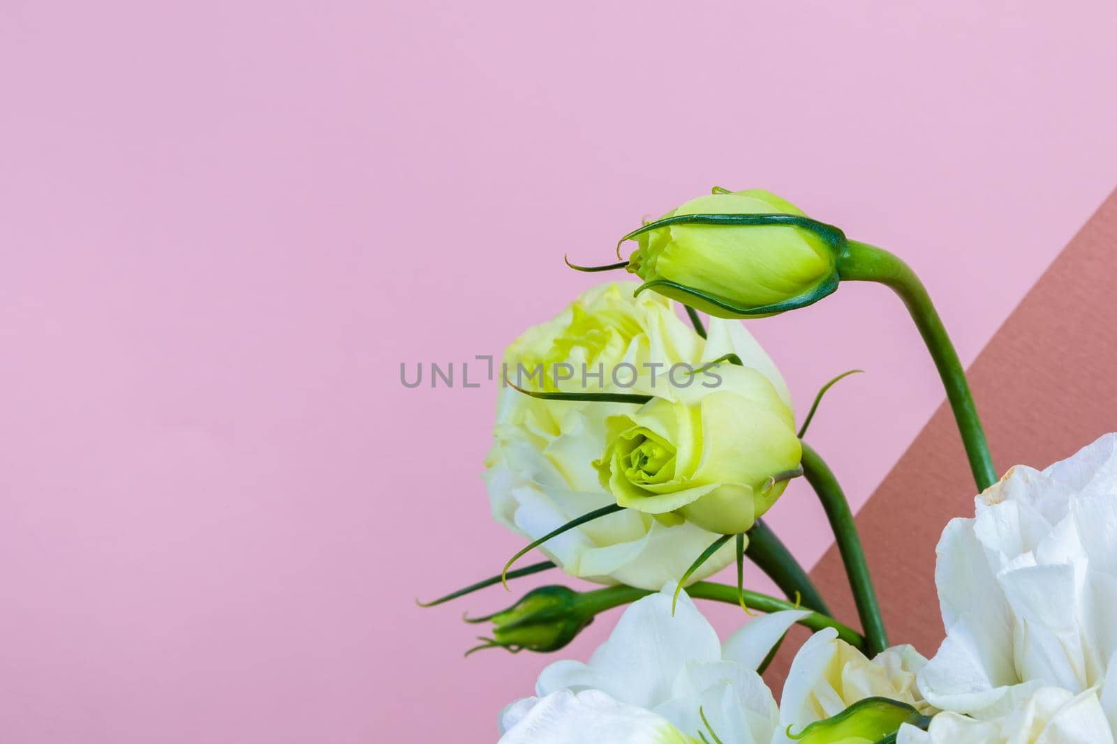 Fresh bouquet in pastel shades of pink, white, green, yellow. Homogeneous pink, blue background. Delicate bouquet for a woman.