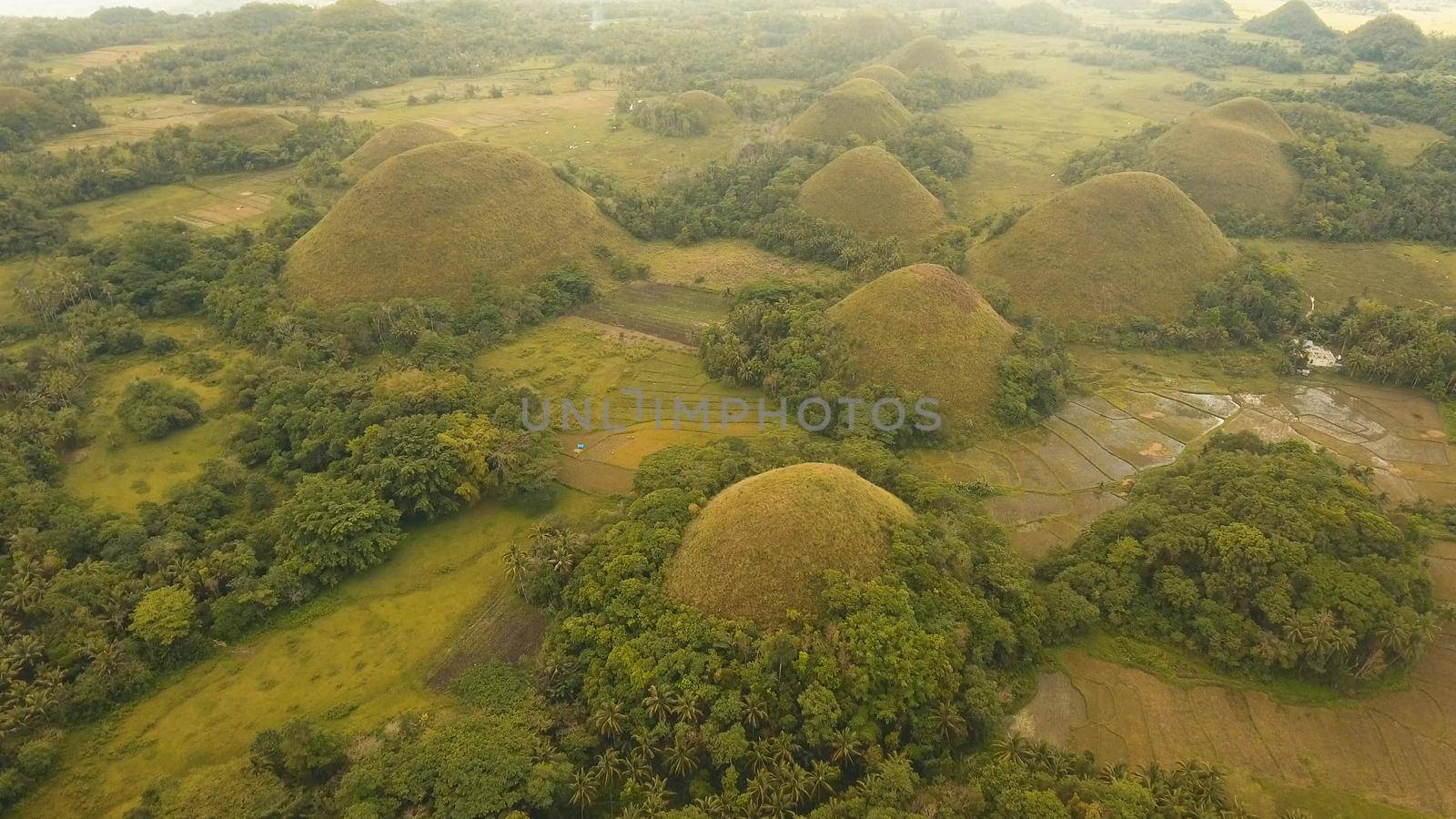 Amazingly shaped Chocolate hills on sunny day on Bohol island, Philippines. Aerial view Chocolate Hills in Bohol, Philippines are earth mounds scattered all over the town of Carmen. Travel concept.
