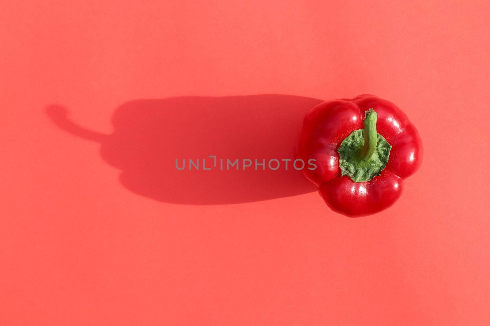 bell pepper on a colored background food pattern top view by roman112007