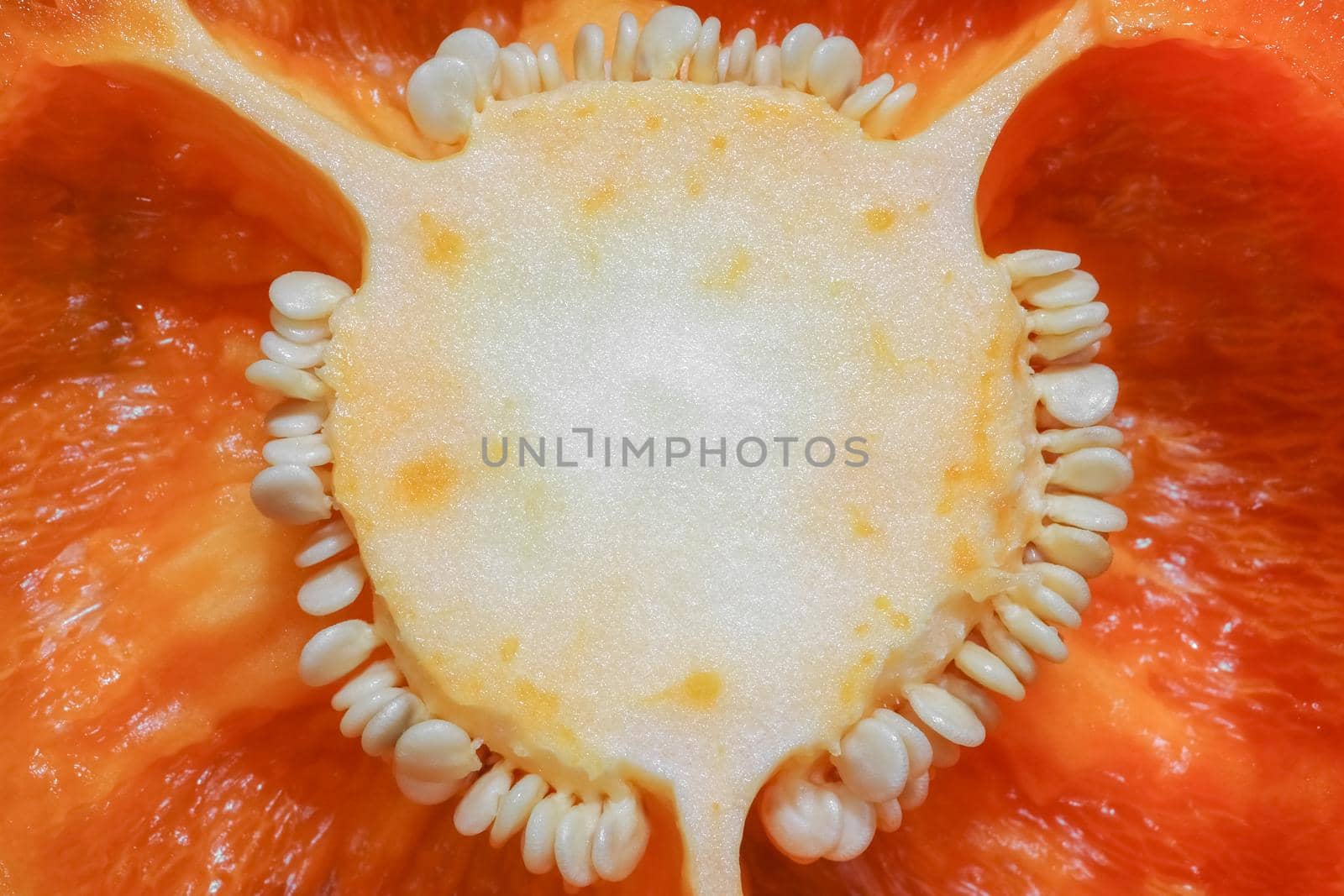 orange bell pepper in the macro section  by roman112007