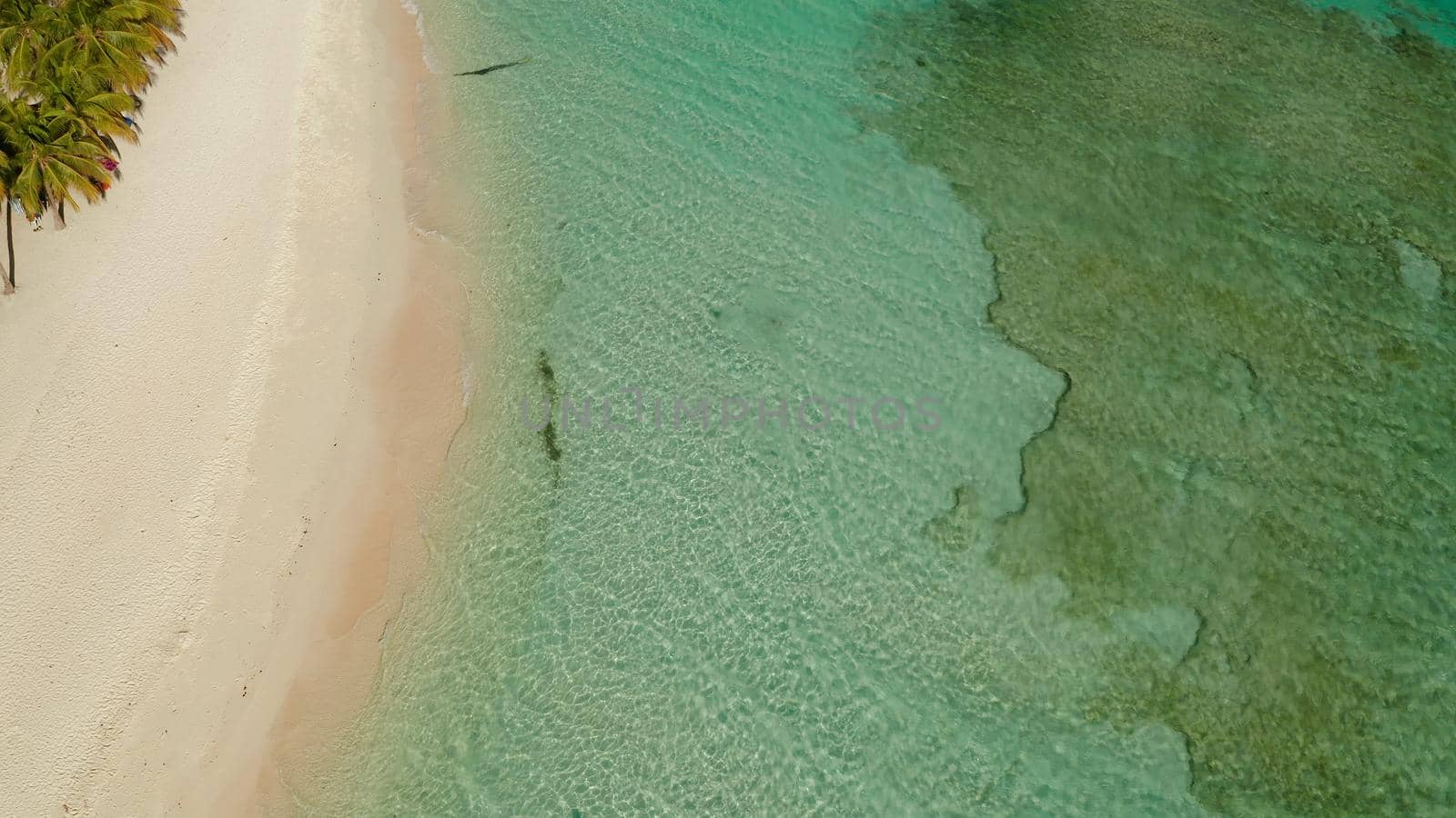 aerial view beach with tourists on tropical island, palm trees and clear blue water. Malcapuya, Philippines, Palawan. Tropical landscape with blue lagoon