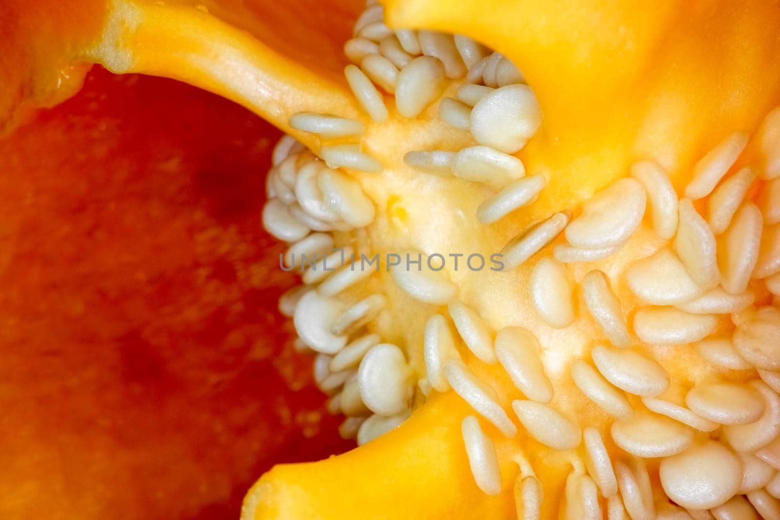 orange bell pepper in the macro section . High quality photo