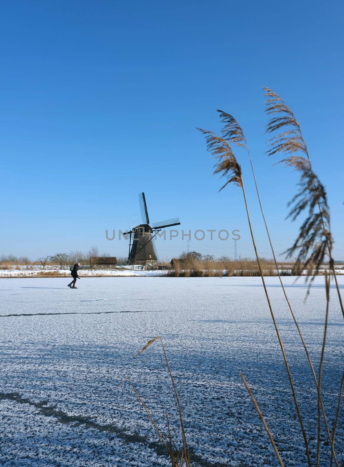 kinderdijk, netherlands, 12 february 2021: man skates on the ice near kinderdijk windmill in holland on sunny winter day