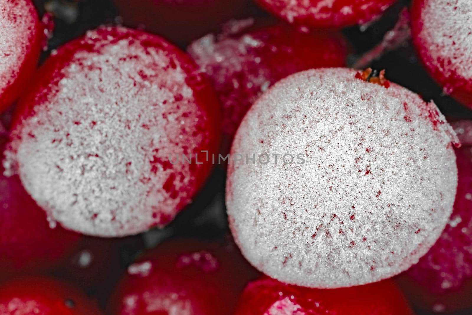 red viburnum berries frozen for the entire frame macro  by roman112007