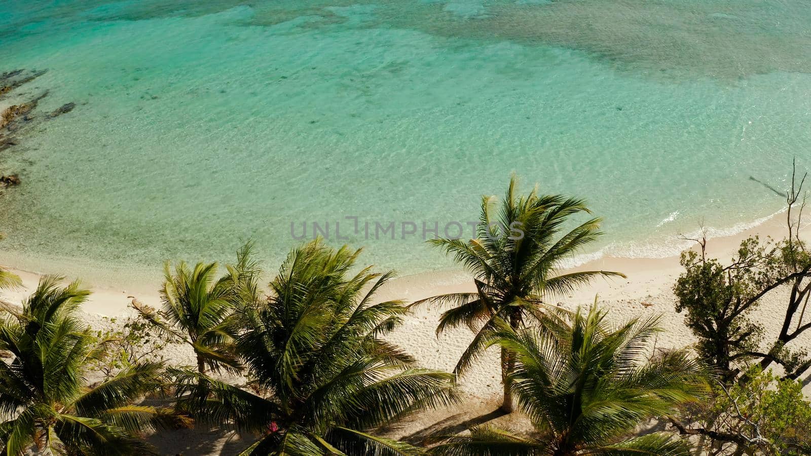 aerial view sandy beach on tropical island with palm trees and clear blue water. Malcapuya, Philippines, Palawan. Tropical landscape with blue lagoon
