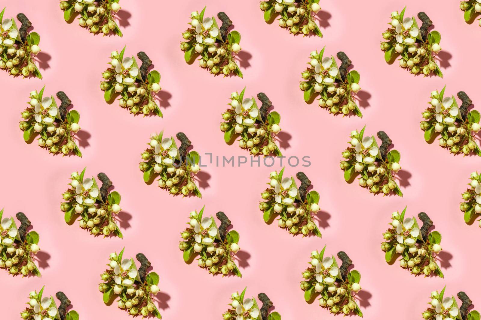 colorful pattern of flowering branches on a pink background. pattern of branches. the view from the top. High quality photo