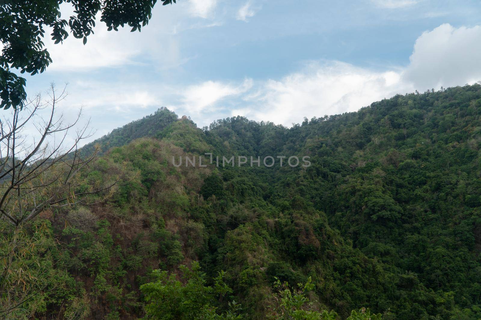 Aerial view mountains are covered tropical forest. Landscape, mountains, rainforest, trees. Bali,Indonesia Travel concept