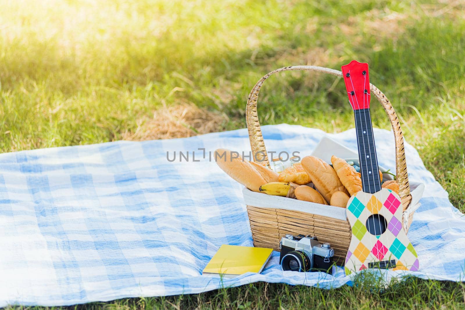 Picnic wattled basket with bread food and fruit, Ukulele, a retro camera on blue cloth in green grass garden with copy space at sunny summertime