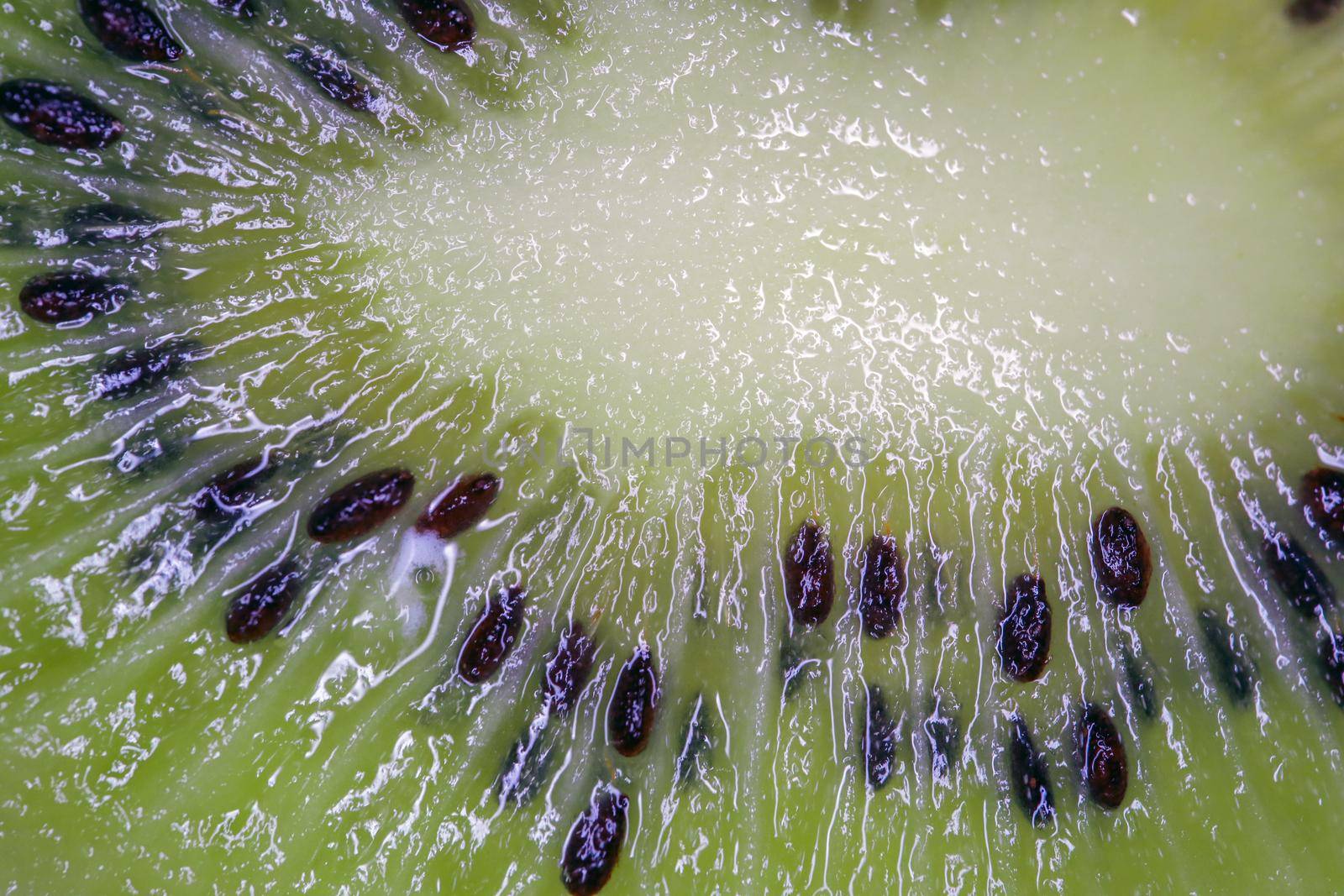 the structure of the kiwi macro as the background for the entire frame