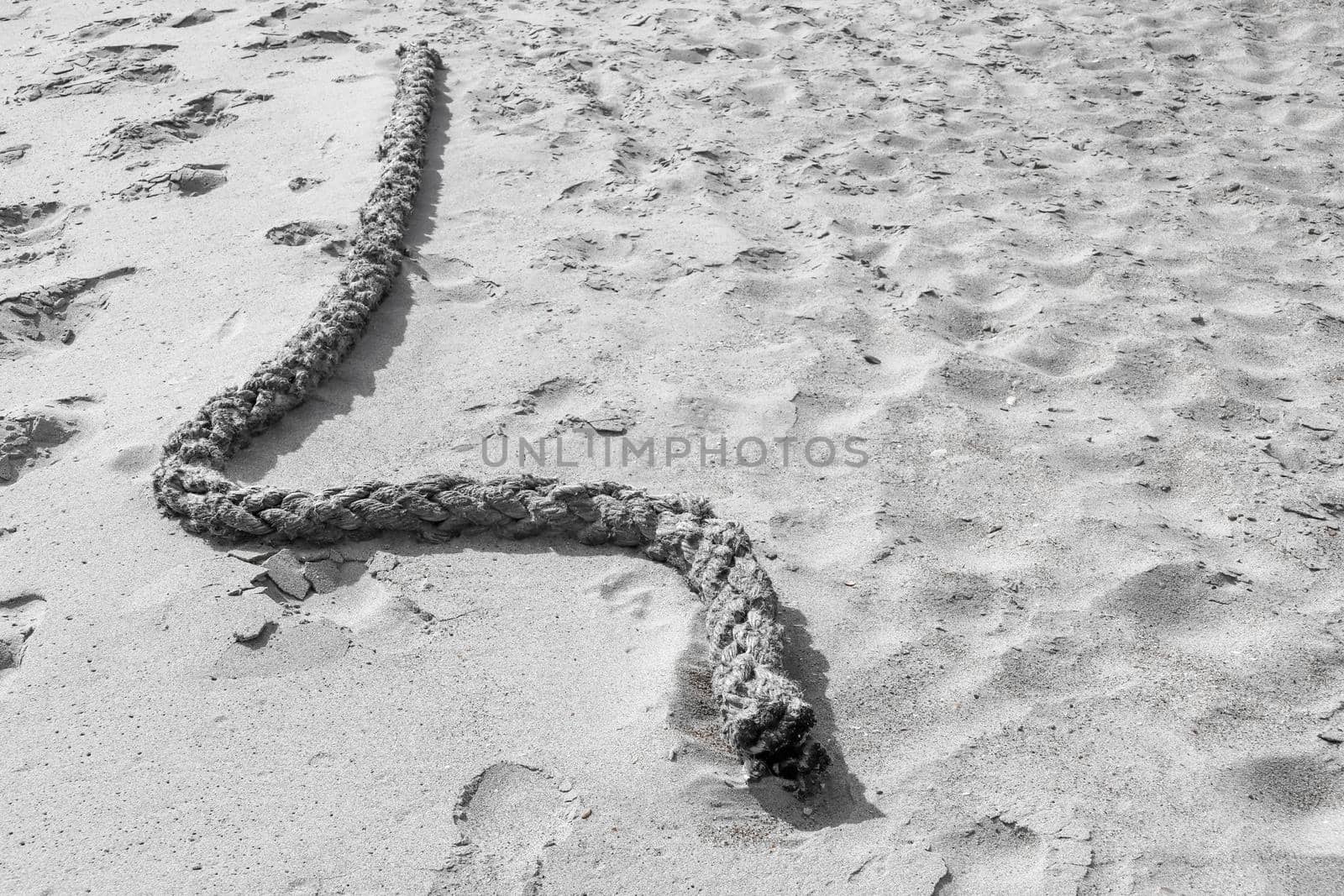 a piece of rope lying on the beach dune sand. High quality photo