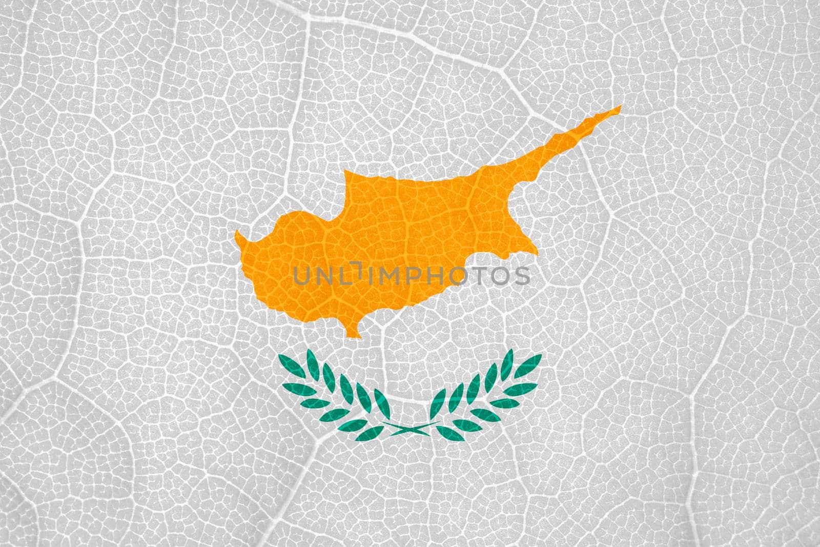 flag of Cyprus on the structure of a tree leaf macro by roman112007