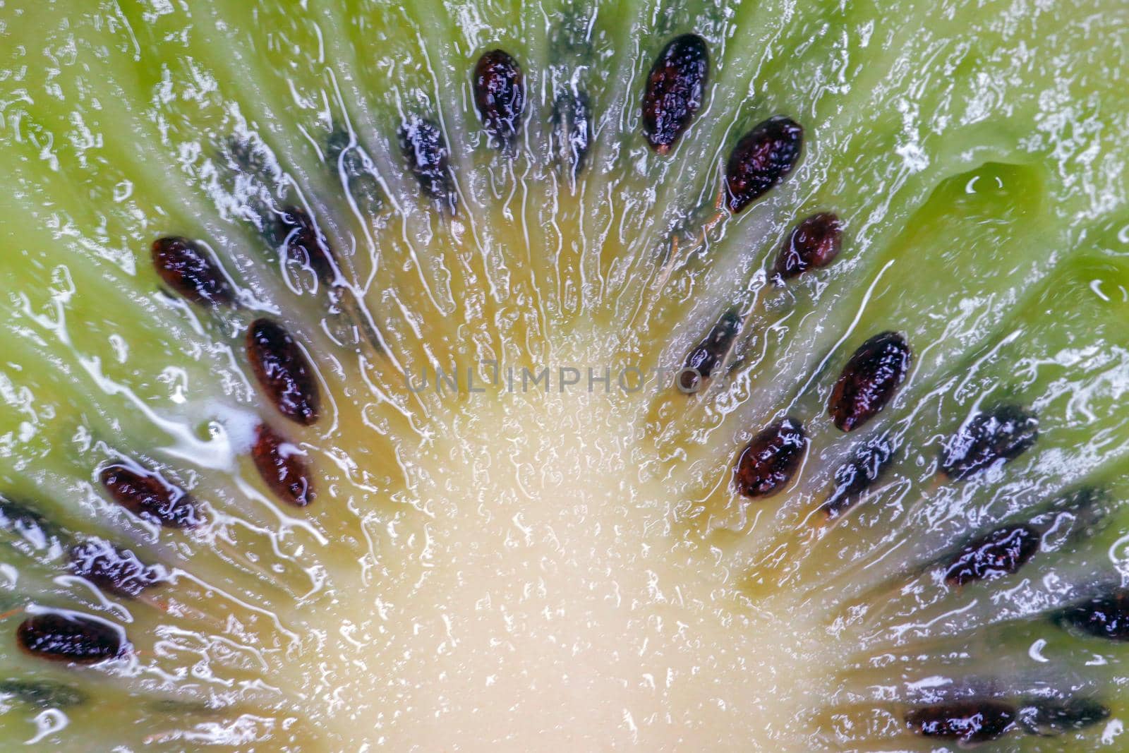 the structure of the kiwi macro as the background . High quality photo