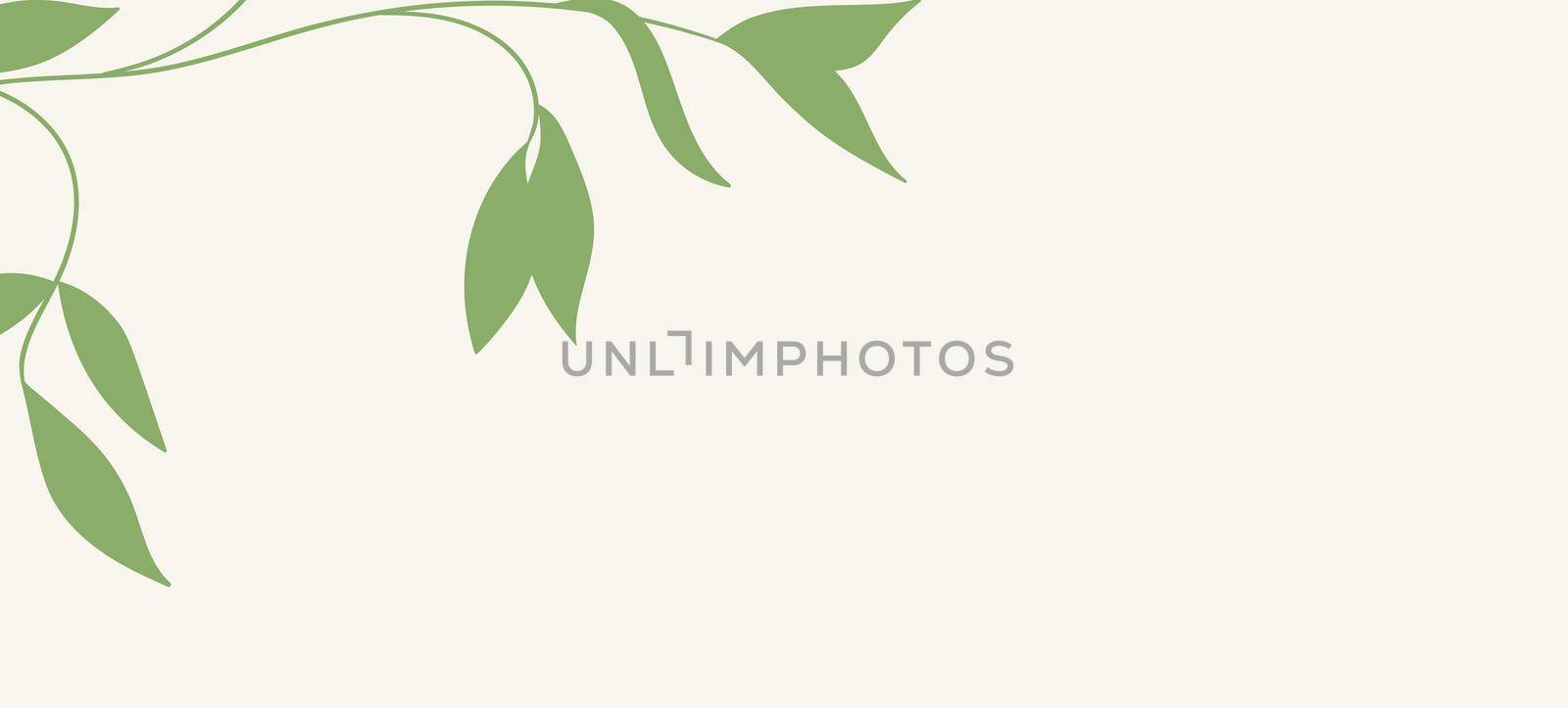 Floral web banner with drawn color exotic monstera leaves. Nature concept design. Modern floral compositions with summer branches. Vector illustration on the theme of ecology, natura, environment by allaku