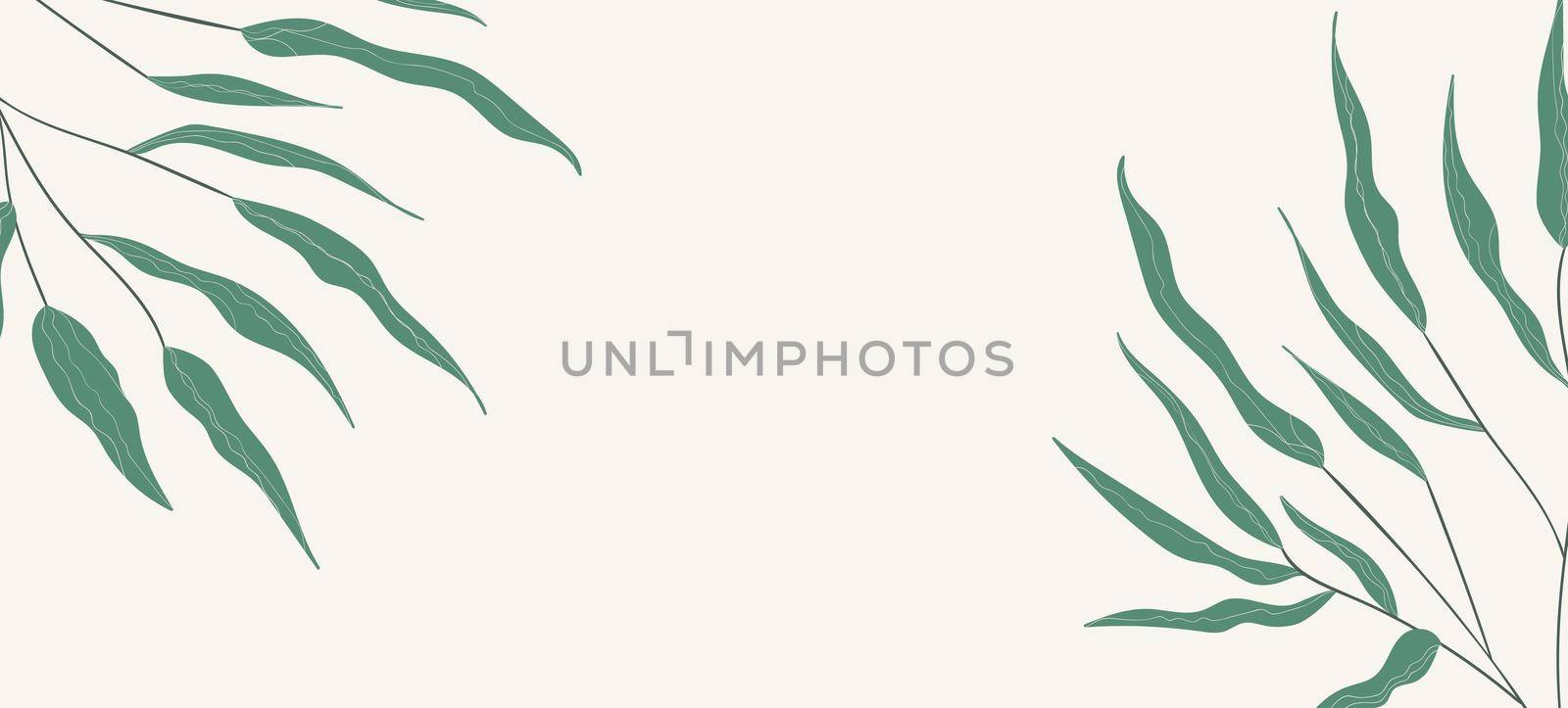 Floral web banner with drawn color exotic monstera leaves. Nature concept design. Modern floral compositions with summer branches. Vector illustration on the theme of ecology, natura, environment by allaku