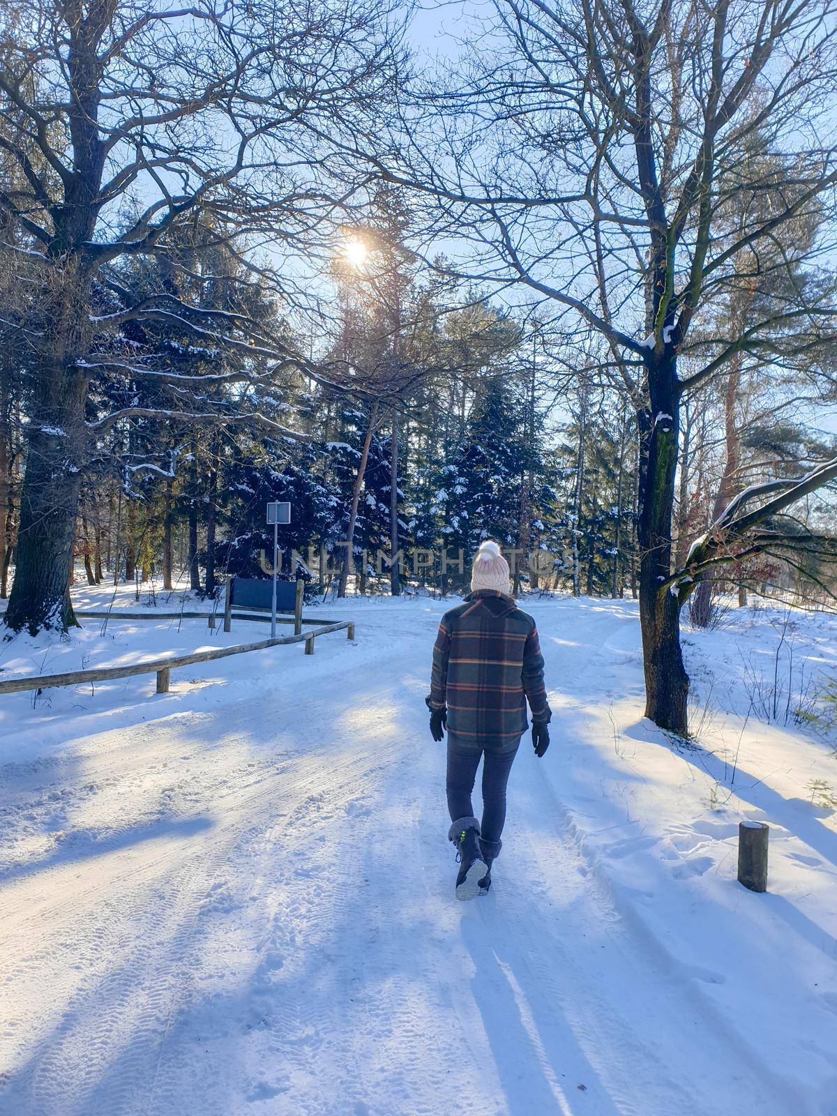 Sallandse Heuvelrug natural park snow covered during winter weather in the Netherlands by Holterberg Holten Overijssel Holland, woman walking in the snow during winter