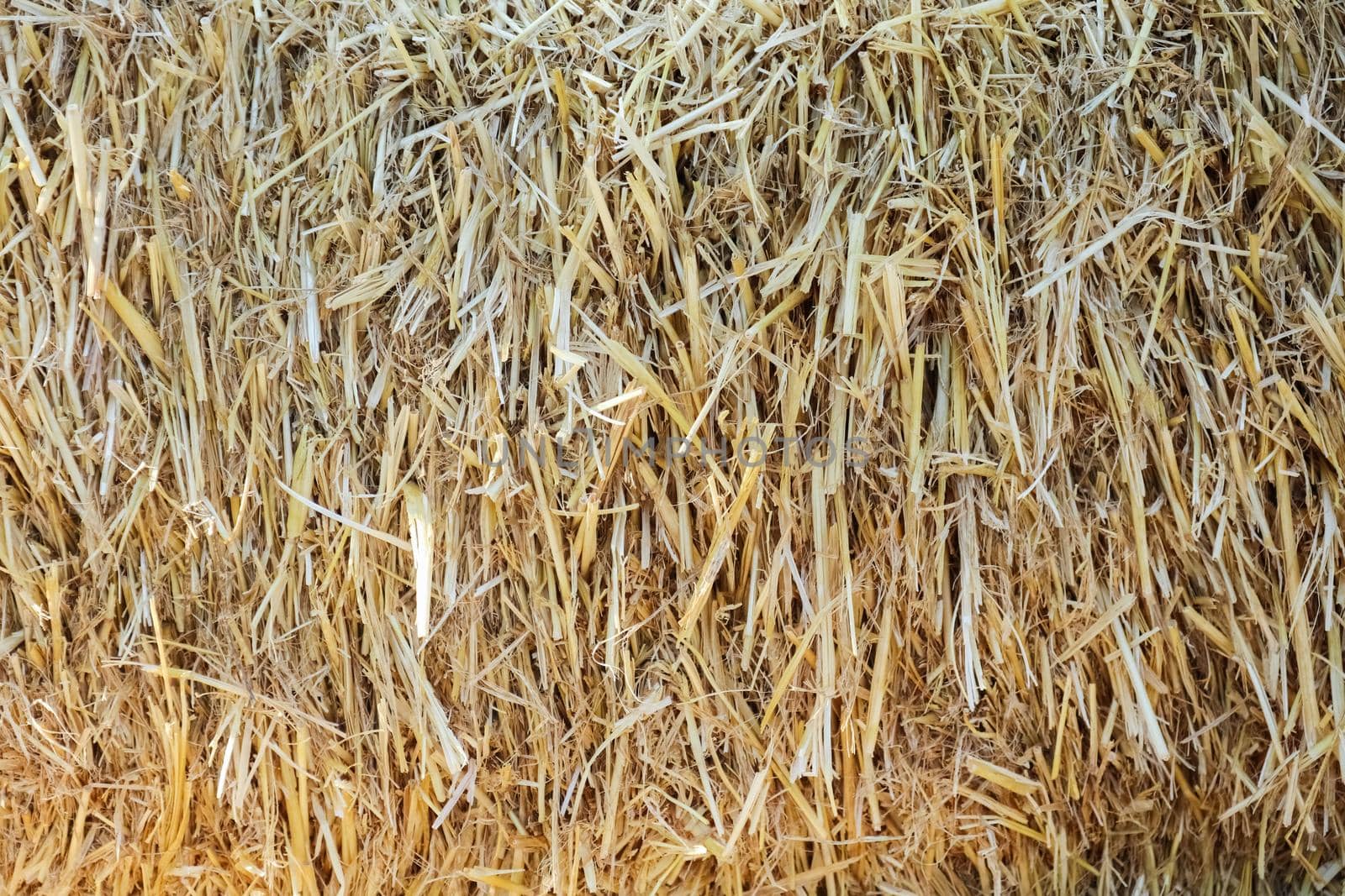 straw close up as background a macro. High quality photo