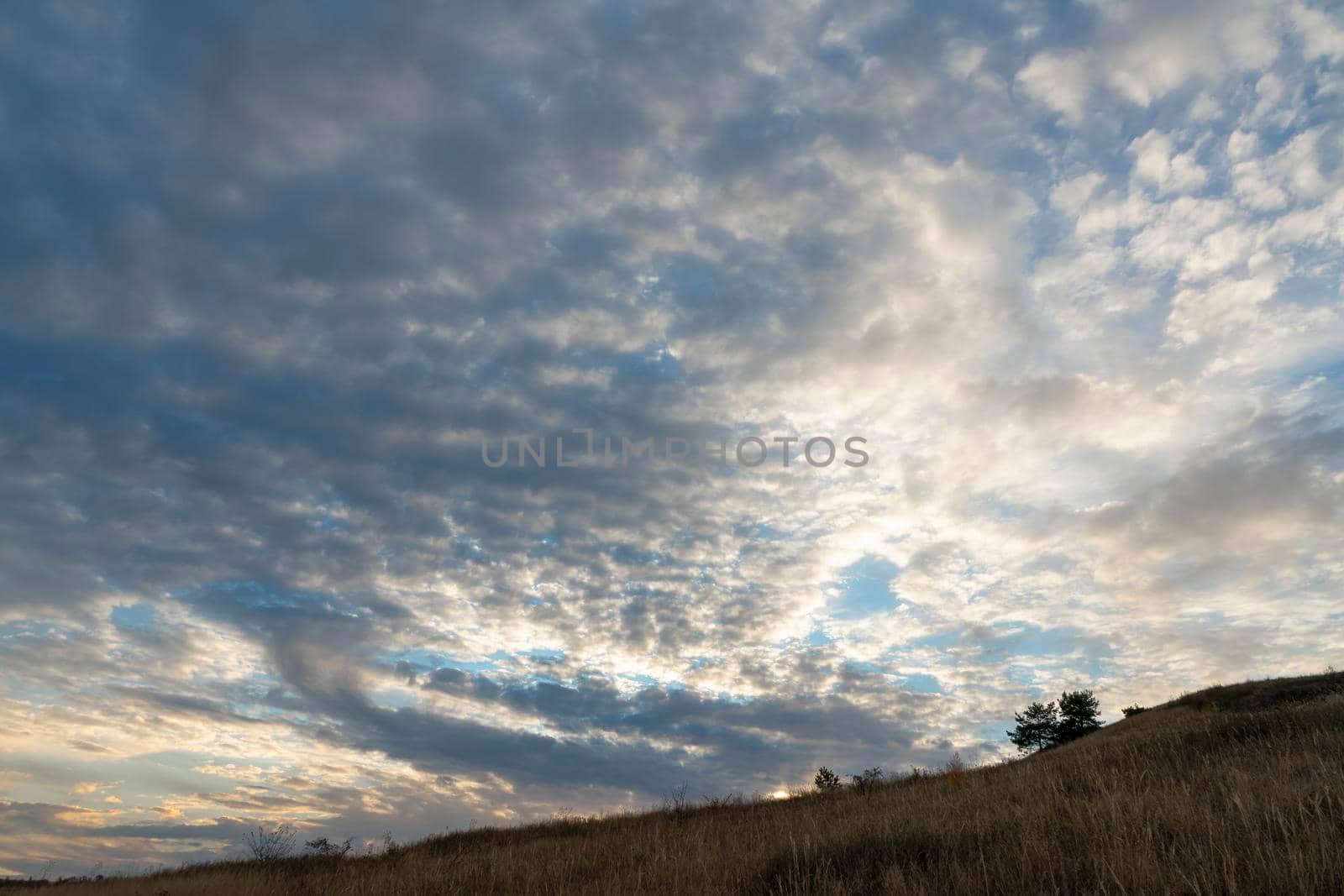 autumn forest landscape with blue sky background by roman112007