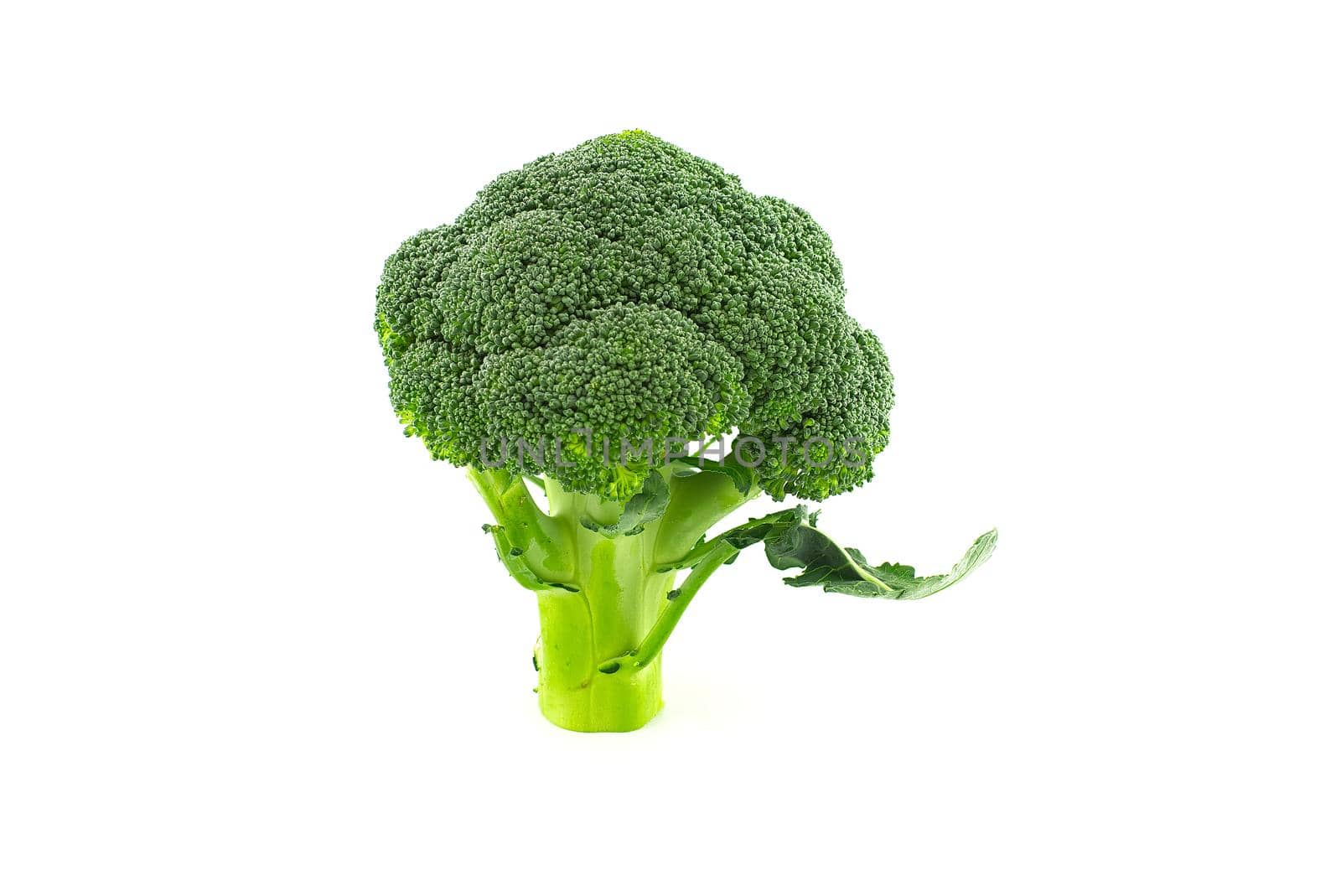 Fresh raw green broccoli florets isolated on white background